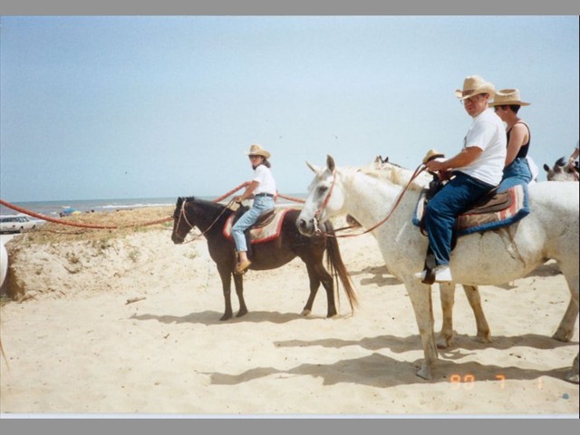 Team horseback riding in Galveston