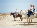 Team horseback riding in Galveston